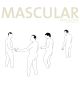 Mascular