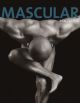 Mascular