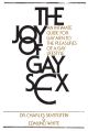 The Joy of Gay Sex