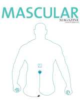 Mascular